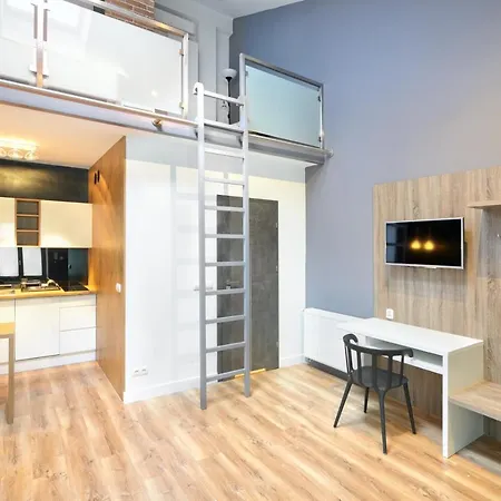 Apartment Krupnicza Premium *